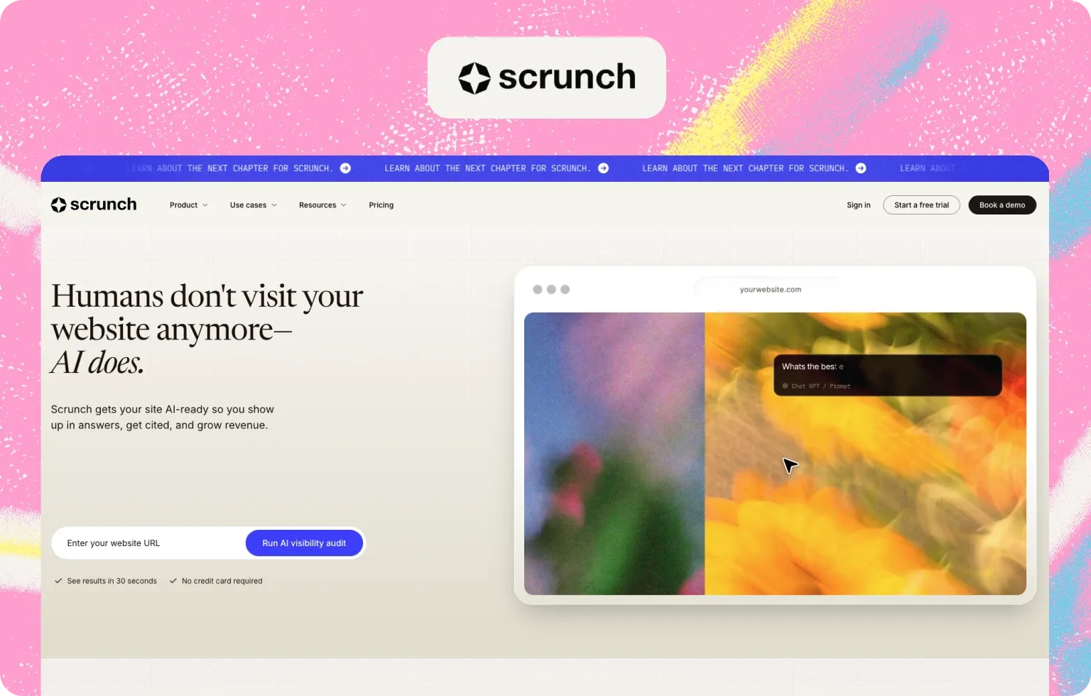 scrunch ai 